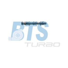 Comprar Árbol de levas de BTS TURBO CP11980 a bajo precio de 171,43 €