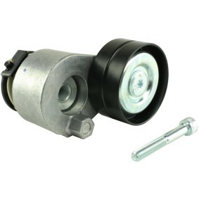 Comprar Polea tensora, correa poli V de FAST FT44616 a bajo precio de 45,86 €
