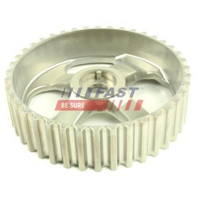 Zahnrad, Ausgleichswelle FT45613 von FAST günstig für 19,98 € online kaufen