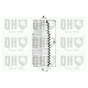Compre Jogo de foles, direcção da QUINTON HAZELL QG1380 a um preço baixo por 13,11 €