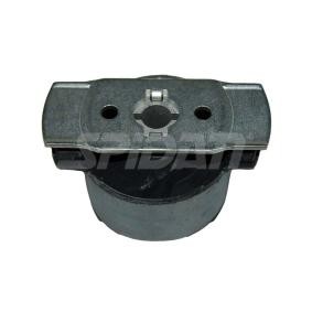 Achskörperlager für RENAULT von SPIDAN CHASSIS PARTS