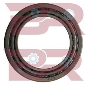 Radlager des Herstellers BOTTO RICAMBI - Originalware Artikelnummer: BRD5219