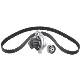 Achetez des Kit de distribution + pompe à eau RIDEX 3096W0251 à prix pour 66,05 €