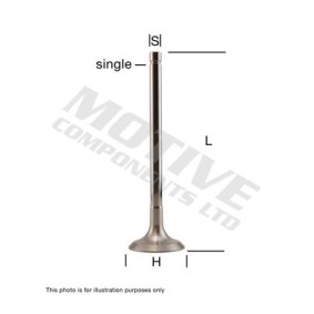 Auslaßventil EV1024 von motive günstig für 9,34 € online kaufen