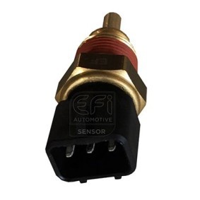 Kühlmitteltemperatursensor von EFI AUTOMOTIVE