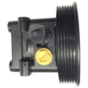Compre Bomba de direção da LIZARTE 04.88.0316-1 a um preço baixo por 317,64 €