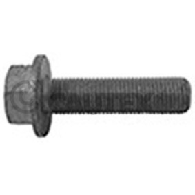 Comprar Tornillo de polea de CAUTEX 757047 a bajo precio de 55,52 €