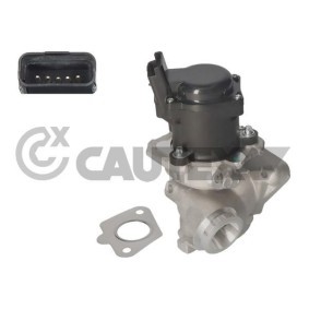 Compre Válvula EGR da CAUTEX 960002 a um preço baixo por 236,47 €
