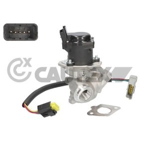 Compre Válvula EGR da CAUTEX 960011 a um preço baixo por 345,90 €