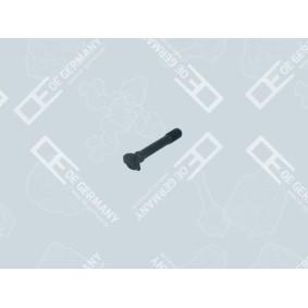 Pleuelschraube und Pleuelmutter des Herstellers OE Germany - Originalware Artikelnummer: 01 0311 300001