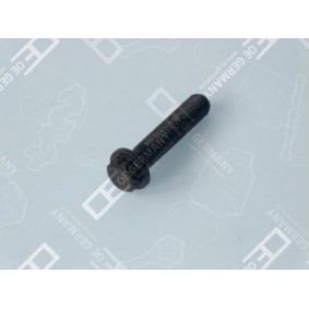 Pleuelschraube und Pleuelmutter des Herstellers OE Germany - Originalware Artikelnummer: 01 0311 366000