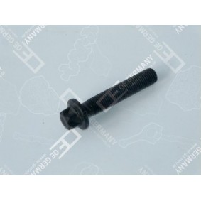 Pleuelschraube und Pleuelmutter des Herstellers OE Germany - Originalware Artikelnummer: 02 0311 206600