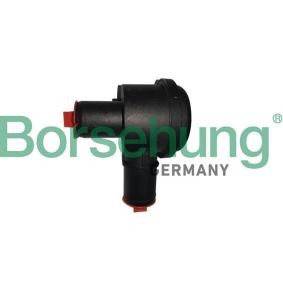 Ladedruckregelventil des Herstellers Borsehung - Originalware Artikelnummer: B12190