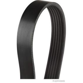 Compre Correia trapezoidal estriada da HERTH+BUSS JAKOPARTS J1062334 a um preço baixo por 14,48 €