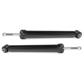 Compre Amortecedor da RIDEX 854S18171 a um preço baixo por 27,09 €