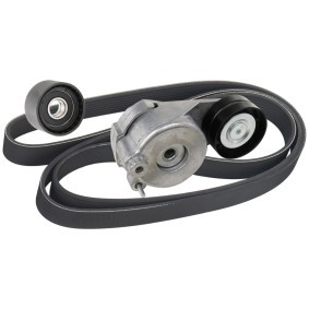 Compre Jogo de correia trapezoidal estriada de RIDEX online para Classe M (W164) a preços moderados