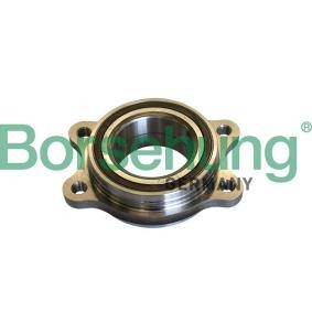 Acquista Kit cuscinetto ruota da Borsehung B11292 a buon mercato per soli 59,23 €