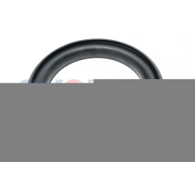 Acquista Alloggiamento molla da Oyodo 80A0027-OYO a buon mercato per soli 5,29 €
