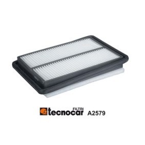 Luftfilter A2579 von TECNOCAR günstig für 55,89 € online kaufen