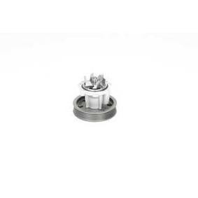 Acquista Pompa acqua da BSG BSG 25-500-001 a buon mercato per soli 56,46 €
