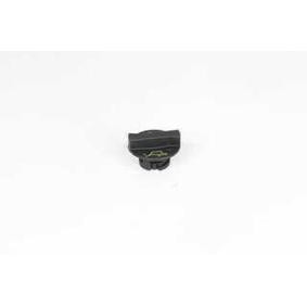 Comprar Tapa, tubuladura de relleno de aceite de BSG BSG 30-700-502 a bajo precio de 29,98 €
