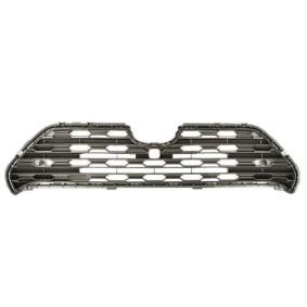 Kühlergrill 5601-00-8186991P