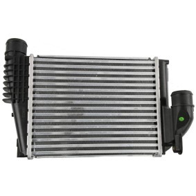 Compre Intercooler de FAST online para Expert Van (V_) a preços moderados
