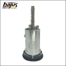 Reparatursatz, Federbeinstützlager 4121095 von hajus Autoteile günstig für 23,51 € online kaufen