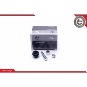 Compre Guia dos roletes, porta corrediça da ESEN SKV 96SKV777 a um preço baixo por 8,31 €