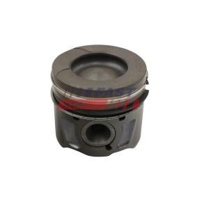 Reparatursatz, Vergaser des Herstellers FAST - Originalware Artikelnummer: FT48418