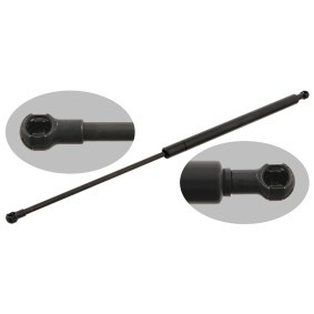 Heckklappendämpfer für CITROËN von FEBI BILSTEIN