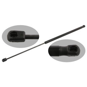 Heckklappendämpfer für CITROËN von FEBI BILSTEIN
