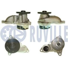 Wasserpumpe von RUVILLE