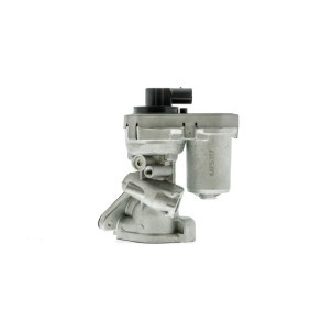 AGR-Ventil EGRAZ-7009 von AISIN günstig für 109,78 € online kaufen
