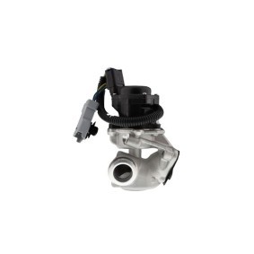 AGR-Ventil für VOLVO von AISIN