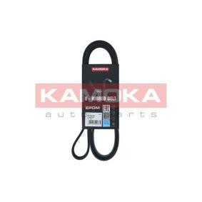 Achetez des Courroie Poly-V KAMOKA 7015075 à prix pour 14,57 €