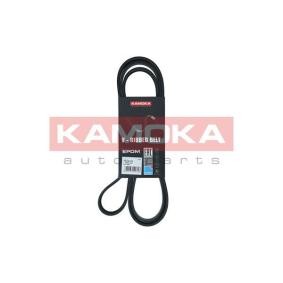 Keilrippenriemen 7016179 von KAMOKA günstig für 16,38 € online kaufen