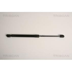 Heckklappendämpfer von TRISCAN 8710 11234