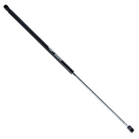 Motorhaubendämpfer für AUDI von EINPARTS