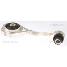 Motorlager für NISSAN von TRISCAN