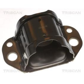 Motorlager für NISSAN von TRISCAN