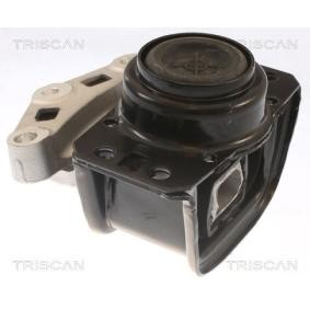 Motorlager für PEUGEOT von TRISCAN