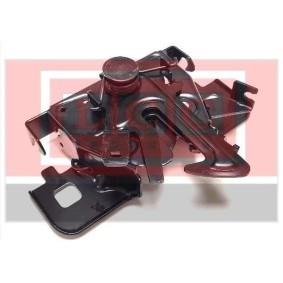 Compre Capô de LCC online para NV300 Camião de plataforma/chassis (X82) a preços moderados