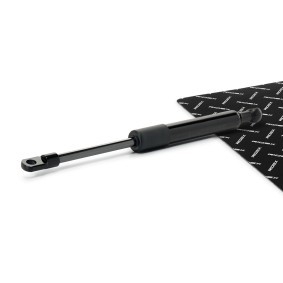 Heckklappendämpfer 219G1329 von RIDEX günstig für 13,62 € online kaufen