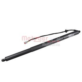 Compre Amortecedor da mala de METZGER online para Focus Mk4 Turnier (HP) a preços moderados