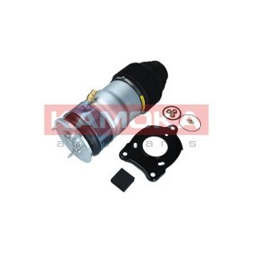 Compre Mola pneumática da KAMOKA 2079067 a um preço baixo por 462,40 €
