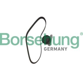 Spannrolle des Herstellers Borsehung - Originalware Artikelnummer: B12362