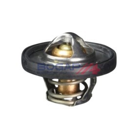 Compre Termóstato de BOGAP online para RAM 1500 II Crew Cab Pick-up a preços moderados