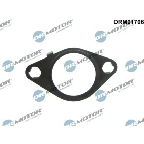 AGR-Ventil-Dichtung DRM01706