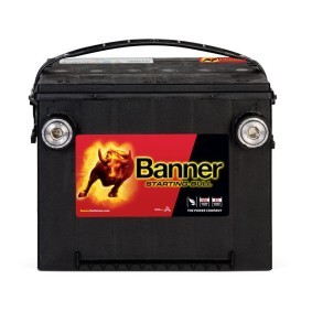 Batterie 010560100101 von BANNER günstig für 175,98 € online kaufen